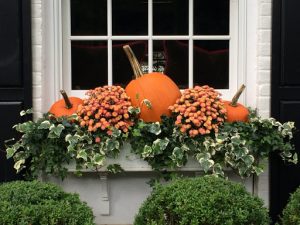 Fall Window and Door Maintenance Pumpkins Flower Box